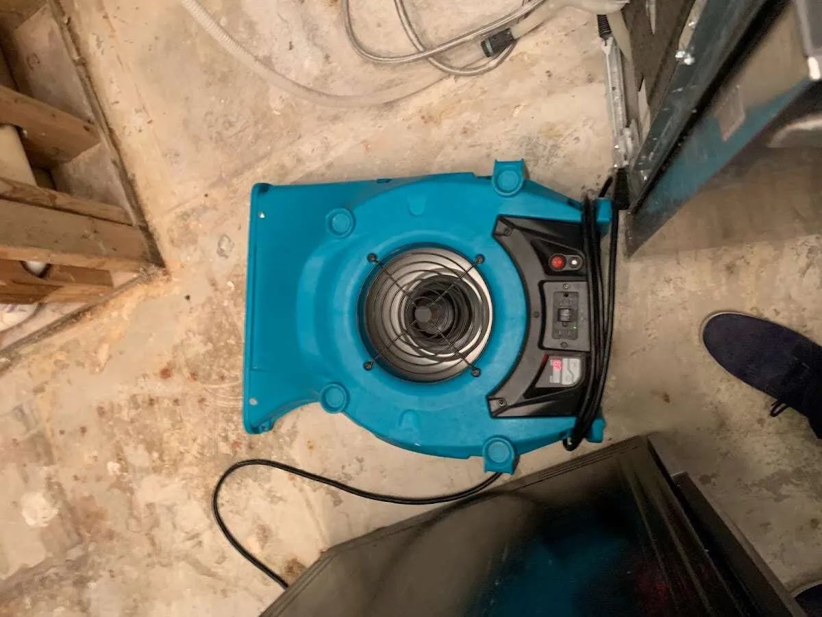 Air mover drying equipment for Mold Remediation & Removal in Santa Monica